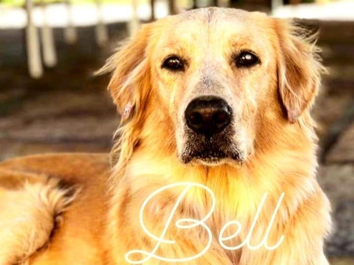 Pousada Da Bell Barreirinhas Esterno foto
